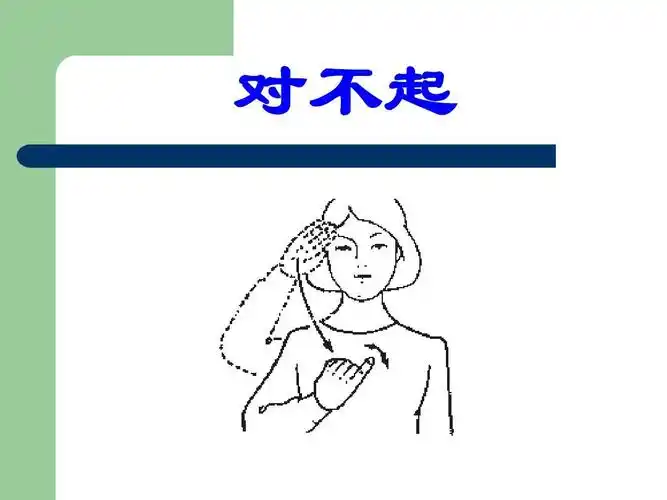 手语 对不起