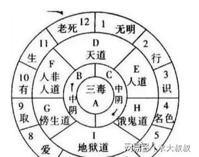 十二因缘六道轮回图