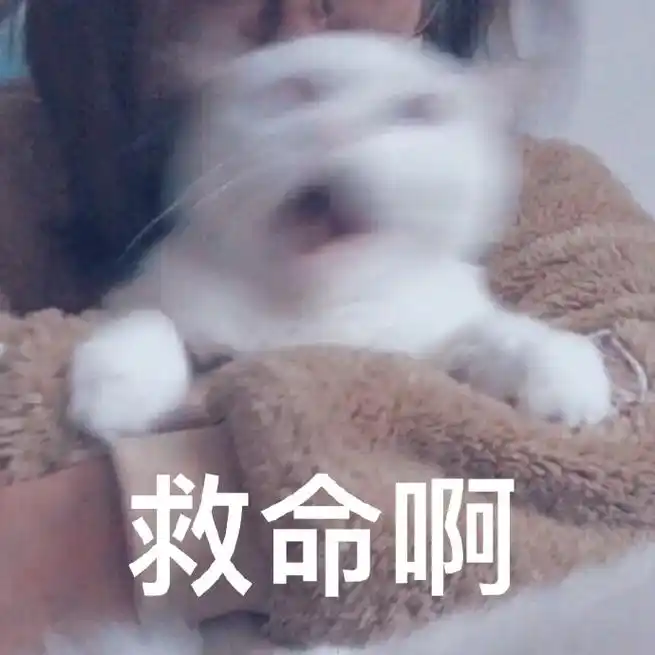 萌宠喵星人救命啊救我啊可爱淘气gif动图_动态图_表情包下载_soogif