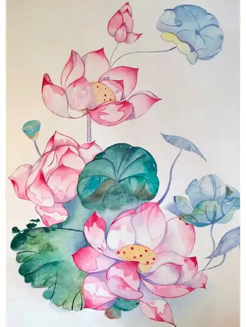 水彩画荷花