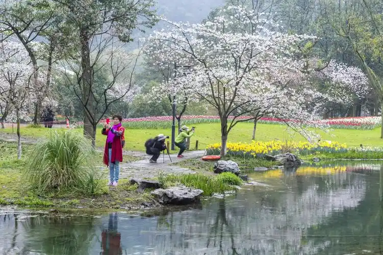 周宇:春游太子湾