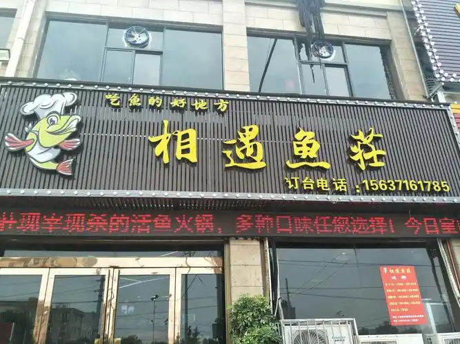 霸气相遇鱼庄请所有人吃鱼啦!一定不要错过这次福利