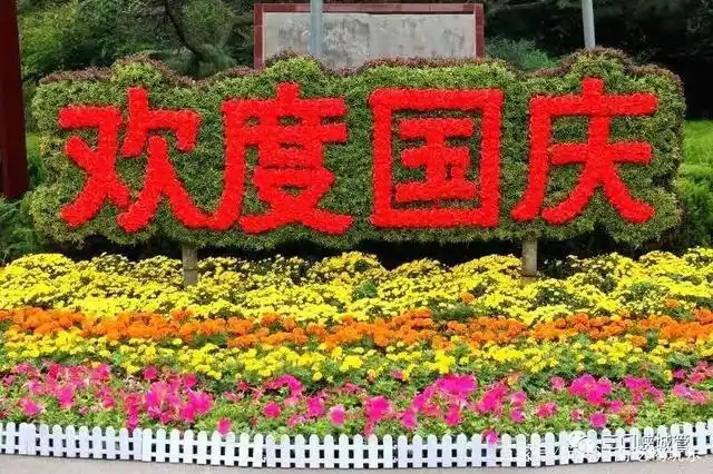 河南三门峡:这些地方花卉摆出奇妙造型,快来留影!