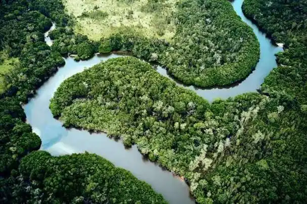 探秘柬埔寨七星海的红树林保护区|生态保护|生态旅游