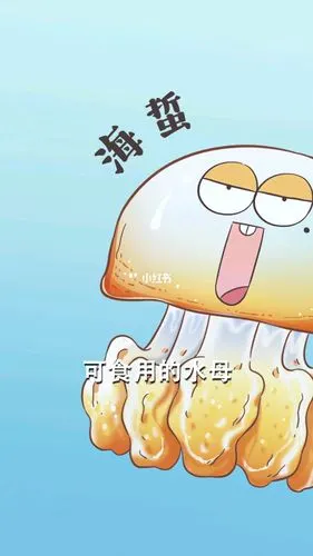 海蜇君你是来较劲的吗