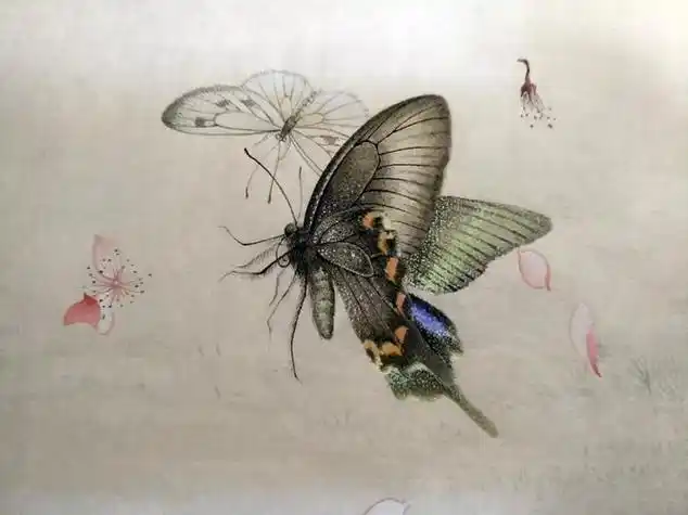 工笔蝴蝶图片 工笔蝴蝶图片大全高清