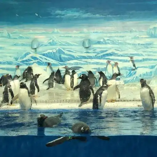 哈尔滨十大必去旅游景点04:极地馆