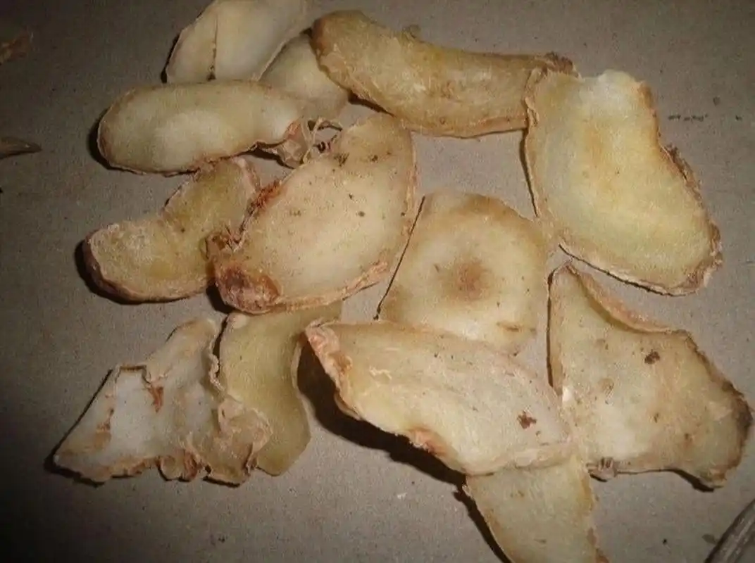 漫话中药之天南星 天南星,为天南星科天南星属植物天南星,异叶天南星