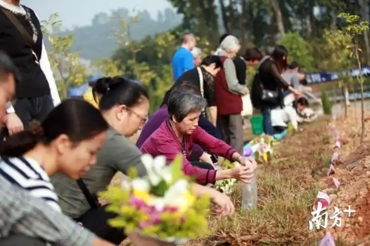 花葬,壁葬,海葬.你会选择让骨灰"绿色"安放吗?