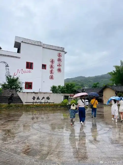 浙南泰顺三杯香好茶喝出健康来##带着微博去旅行##美丽之旅