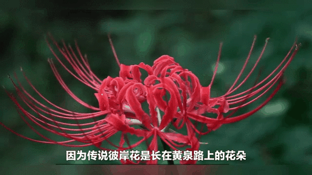 640_360gif 动态图 动图