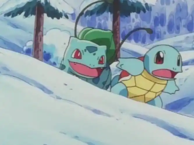 杰尼龟妙蛙种子结种cp的沙雕日常第二期