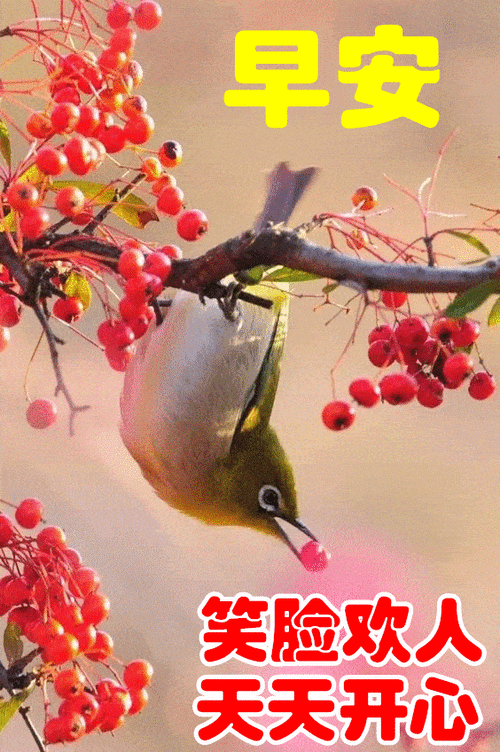 聊天不用打字的早上好祝福图片,幸福陪伴您,万事皆如意!_表情