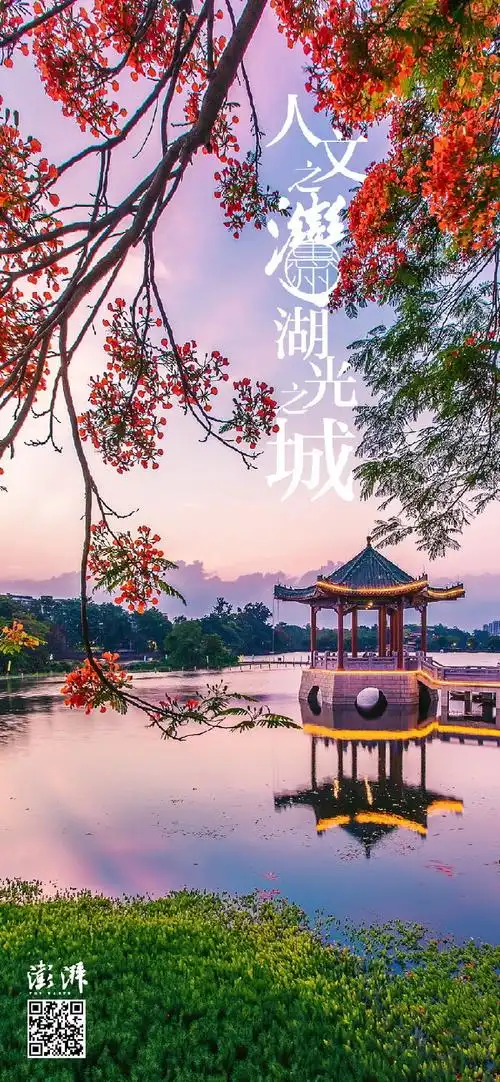 海报|走进粤港澳大湾区,赏11城"湾有引力"