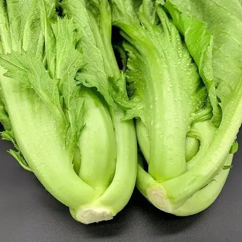 新鲜青菜包心芥菜贵州现摘蔬菜大叶宽邦青菜大头青菜苦菜腌制酸菜
