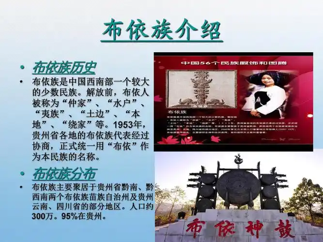布依族介绍.ppt_第3页