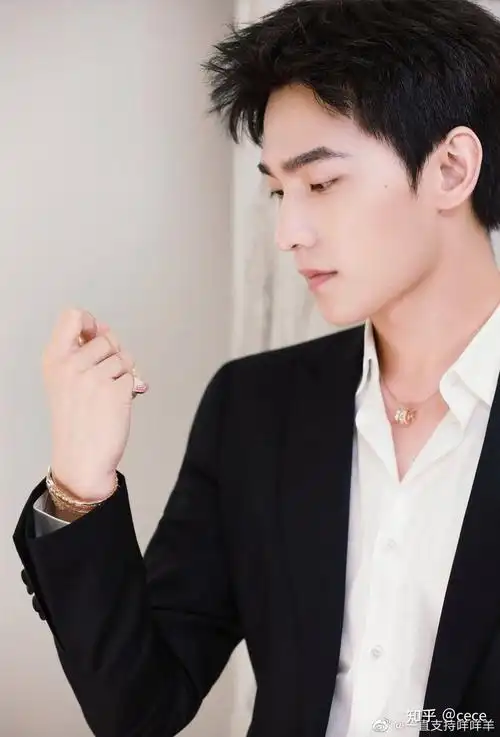 娱乐圈有类杨洋精致好看的男明星吗?