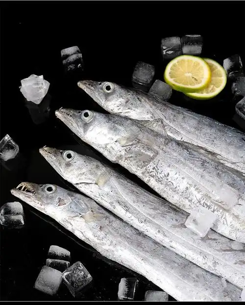 带鱼新鲜整条无冰净重箱装刀鱼整箱海鲜水产 【1斤约3条】 四斤【无冰