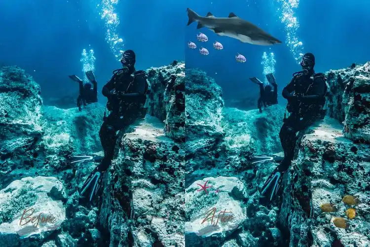 40款高清海洋鱼ps叠加图片素材40seafishoverlays