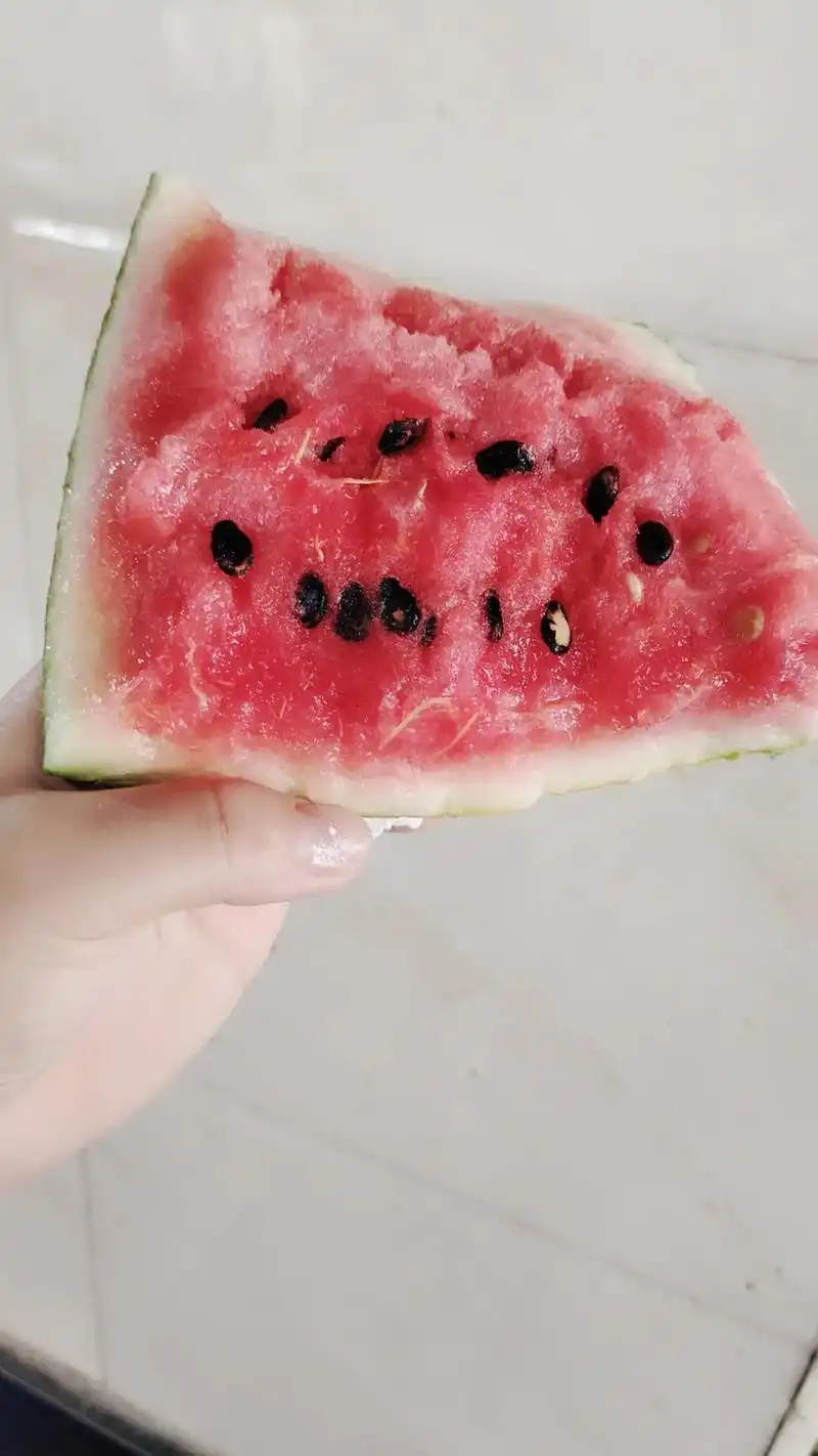 [太阳][太阳][太阳] 阿姨送给我一块西瓜