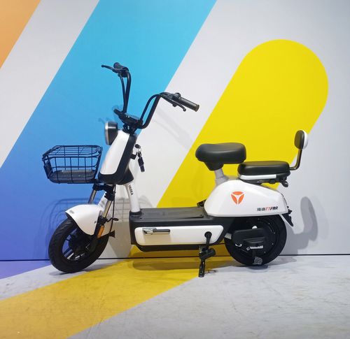 雅迪迪新国标电动自行正品车冠冠能乐远nfc48v23a电动自行车