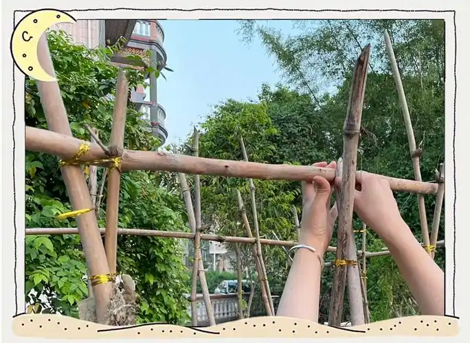 甜瓜成长记:搭架引蔓秘诀