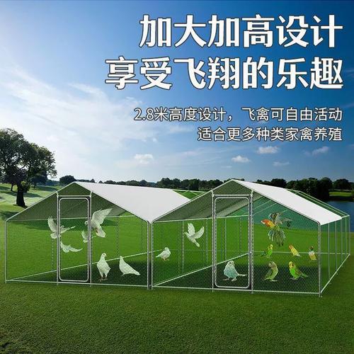 养殖鸡棚鸡笼室外兔笼鸽子笼家禽防雨笼子搭建简易鸡舍养鸡棚全套