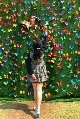 重庆巴文化公园蝴蝶科普展(2017年5月1日)