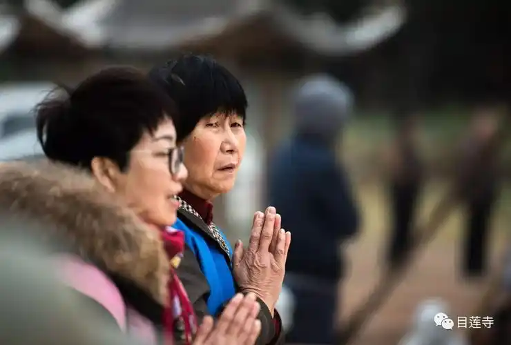 念佛的母亲以感恩之心对待万事万物,对待父母孝顺,对待恩人贴心!