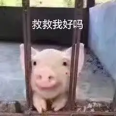救救我好吗?(小猪)_小猪_救救表情