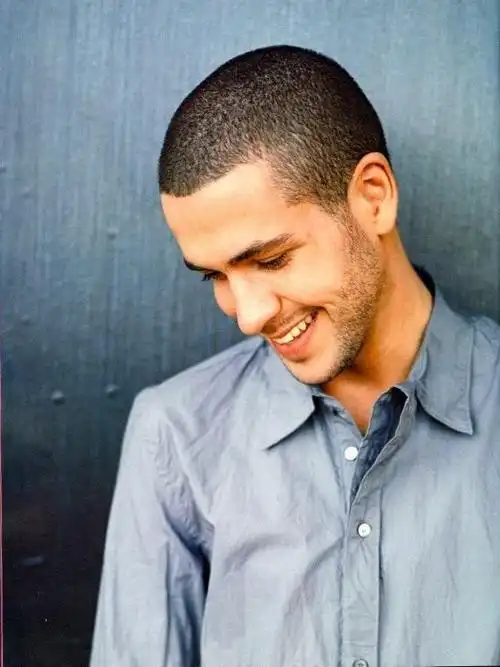 比如, 西城男孩(westlife),肖恩·沃德(shayne ward)