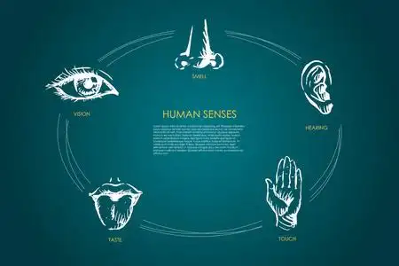 人类感官-视觉,味觉,触觉,听觉,嗅觉向量概念集照片