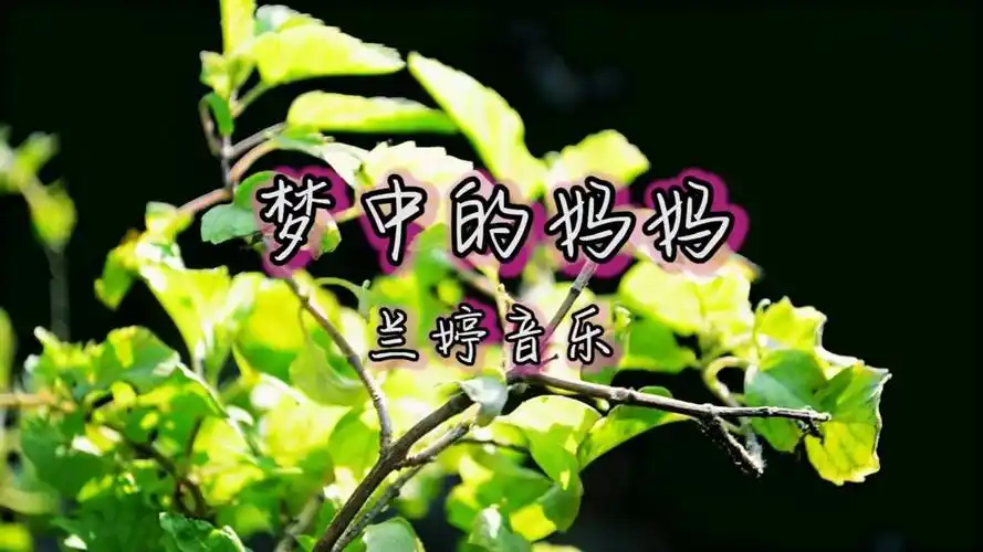 《梦中的妈妈》真情流露,唱的动容 ,喟湿了眼眶