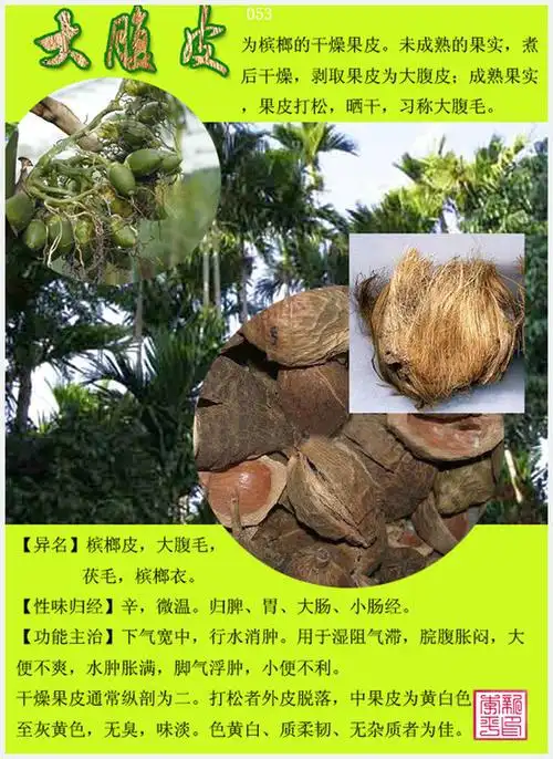 53,大腹皮.54,大 黄.55,大活血.56,大青叶.57,大 枣.58,代赭石.