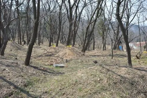 浮山中的野坟【原创】