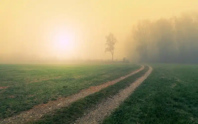 唯美护眼田园风光桌面壁纸