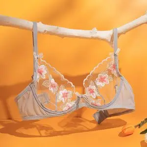 薄纱内衣透明图片