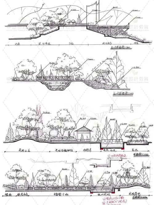 景观手绘剖立面