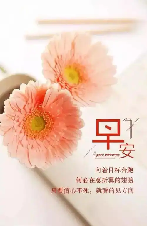 早安心语正能量励志短句(早安心语每日一句正能量短句)
