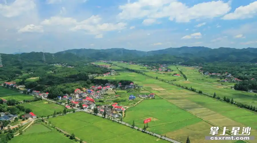 金井镇村居(湘丰村)鸟瞰图.