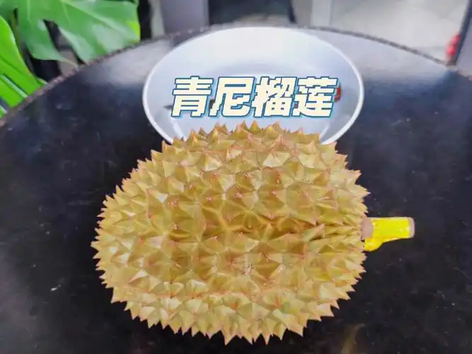 今年的第二个榴莲青尼