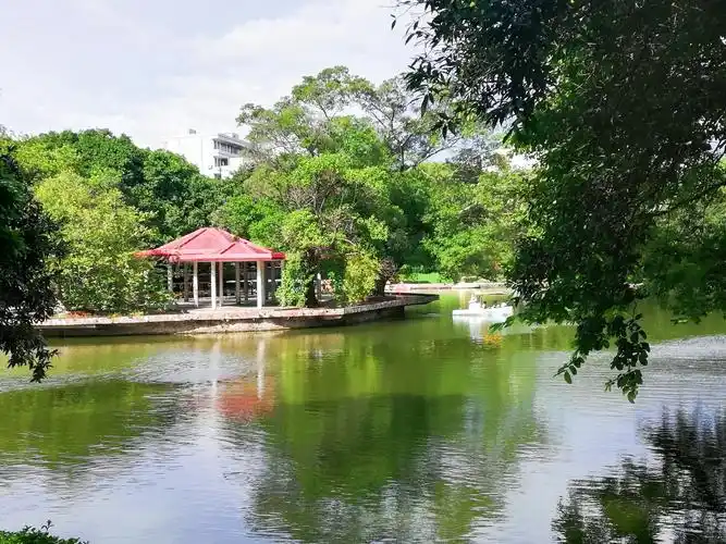 佛山罗村乡村之旅.