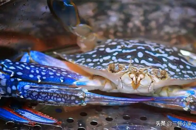 这里说的花蟹,指的是兰花蟹,也有叫青花蟹,红花蟹