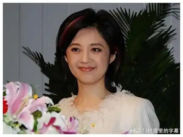 为娶前央视知名主持人,富豪丁健给前妻一亿离婚费,孩子也给她了