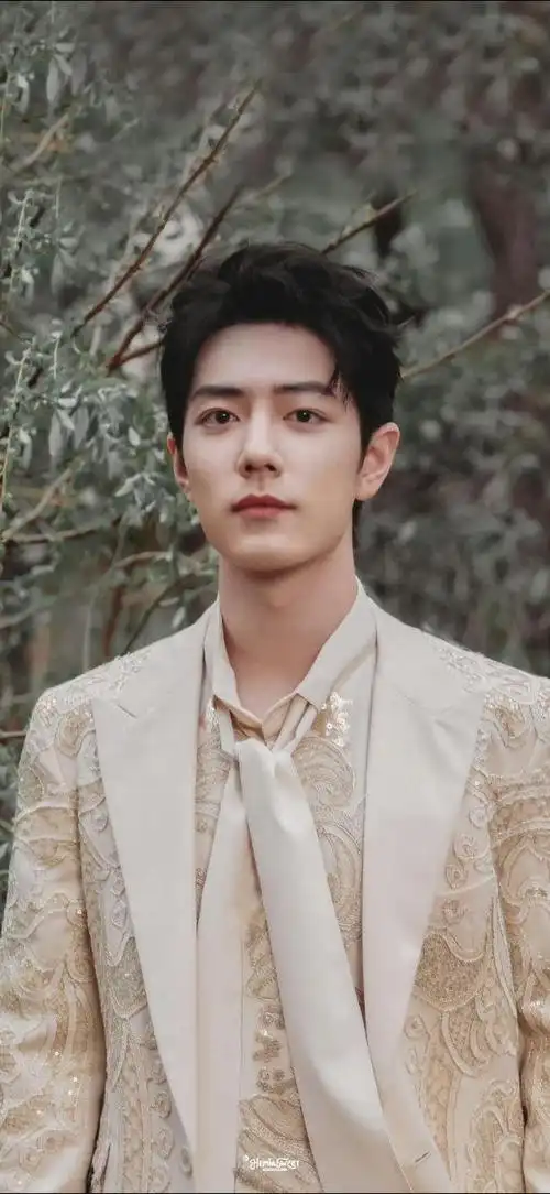 肖战微博之夜##肖战##微博之夜神图