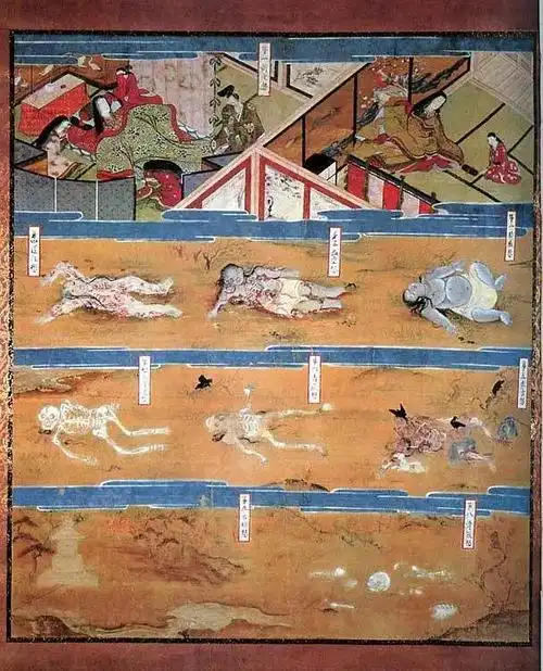 《尸体变化图鉴》读后随记