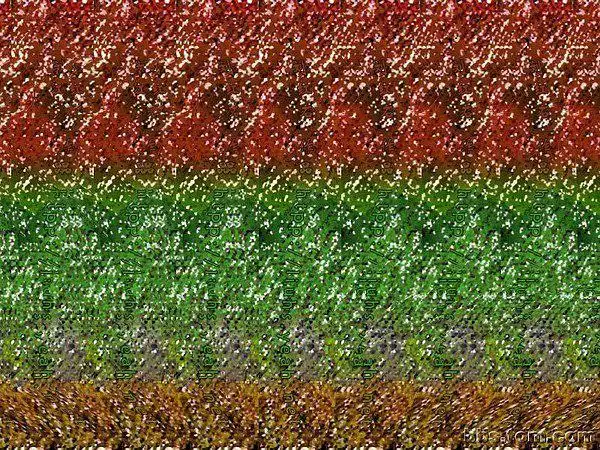 99的相册-3d图片训练开发超右脑