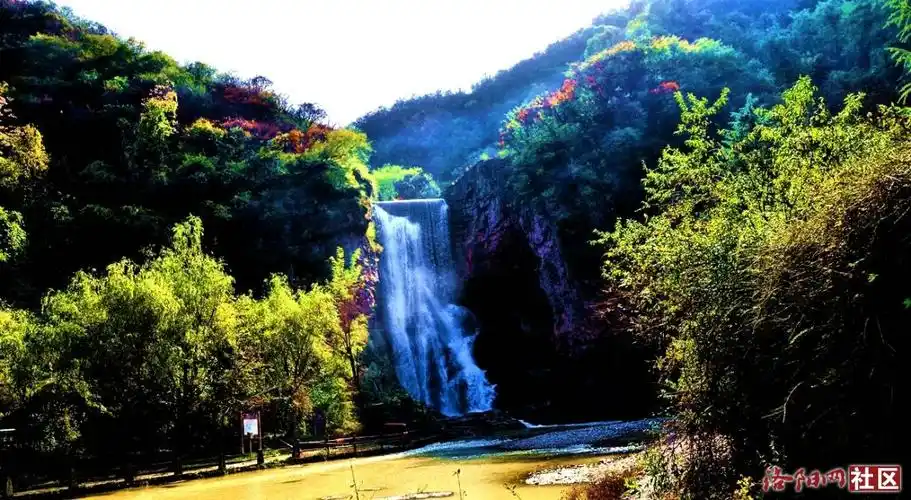 幽谷叠翠花倍馨再游豫西大峡谷