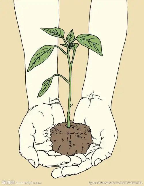 手捧幼苗矢量素材图片