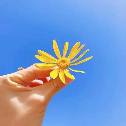 充满阳光的正能量的句子精辟上进句句励志